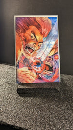 Thundercats 2ZF 1:15 Rob Liefield Varaint Dynamite Entertainment 2024