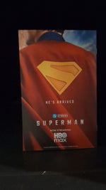 Cheetah & Cheshire - Rob the Justice League #4B Gerald Parel Variant