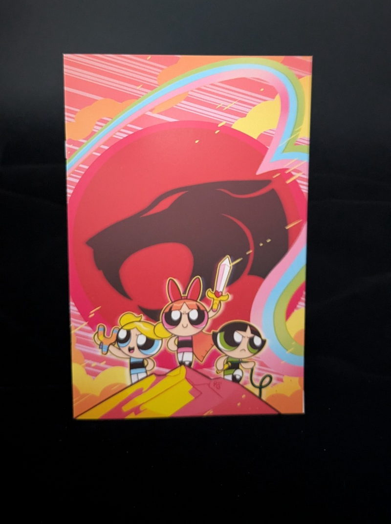 Thundercats / Powerpuff Girls - 1 H/J - Pick your Variant!