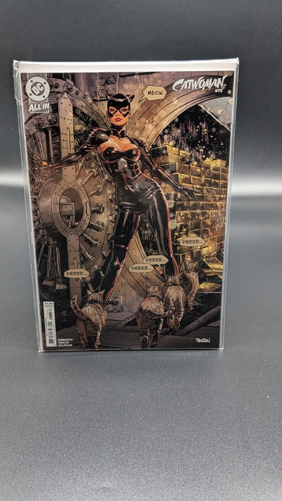 Catwoman #73B Dan Panosian Variant