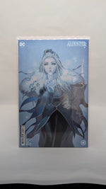 Dark Knights of Steel & Allwinter Mixed Run Bundle 23/24 DC Elseworlds Batman