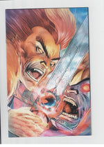 Thundercats 2ZF 1:15 Rob Liefield Varaint Dynamite Entertainment 2024