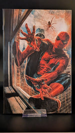 Amazing Spider-Man #1M Lee Bermejo Incentive Virgin Variant (1:200)